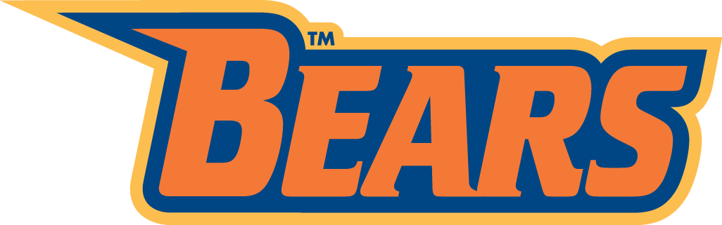 Morgan State Bears 2002-Pres Wordmark Logo v4 iron on transfers for clothing